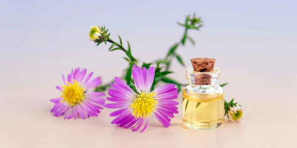 Routine-de-Parfum-pour-l-Été-Comment-Rester-Frais-Toute-la-Journée Seraphia