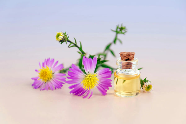 Routine-de-Parfum-pour-l-Été-Comment-Rester-Frais-Toute-la-Journée Seraphia