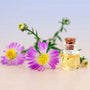 Routine-de-Parfum-pour-l-Été-Comment-Rester-Frais-Toute-la-Journée Seraphia